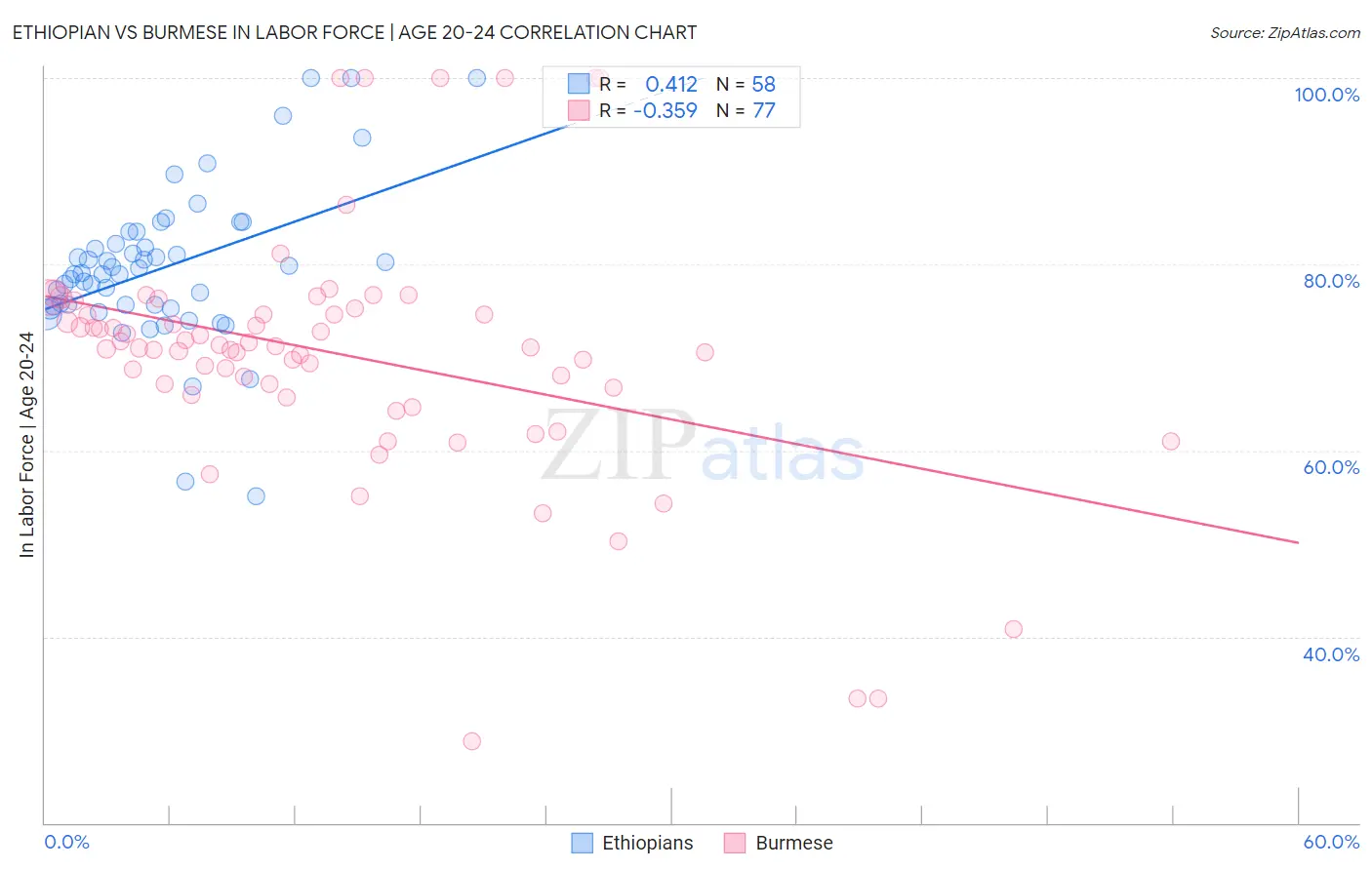 Ethiopian vs Burmese In Labor Force | Age 20-24