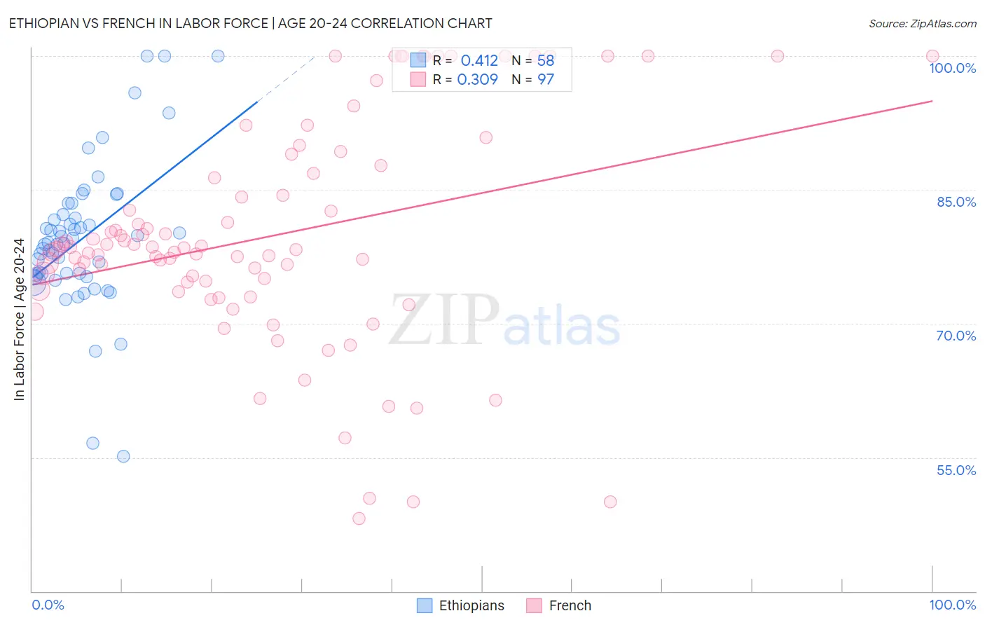 Ethiopian vs French In Labor Force | Age 20-24