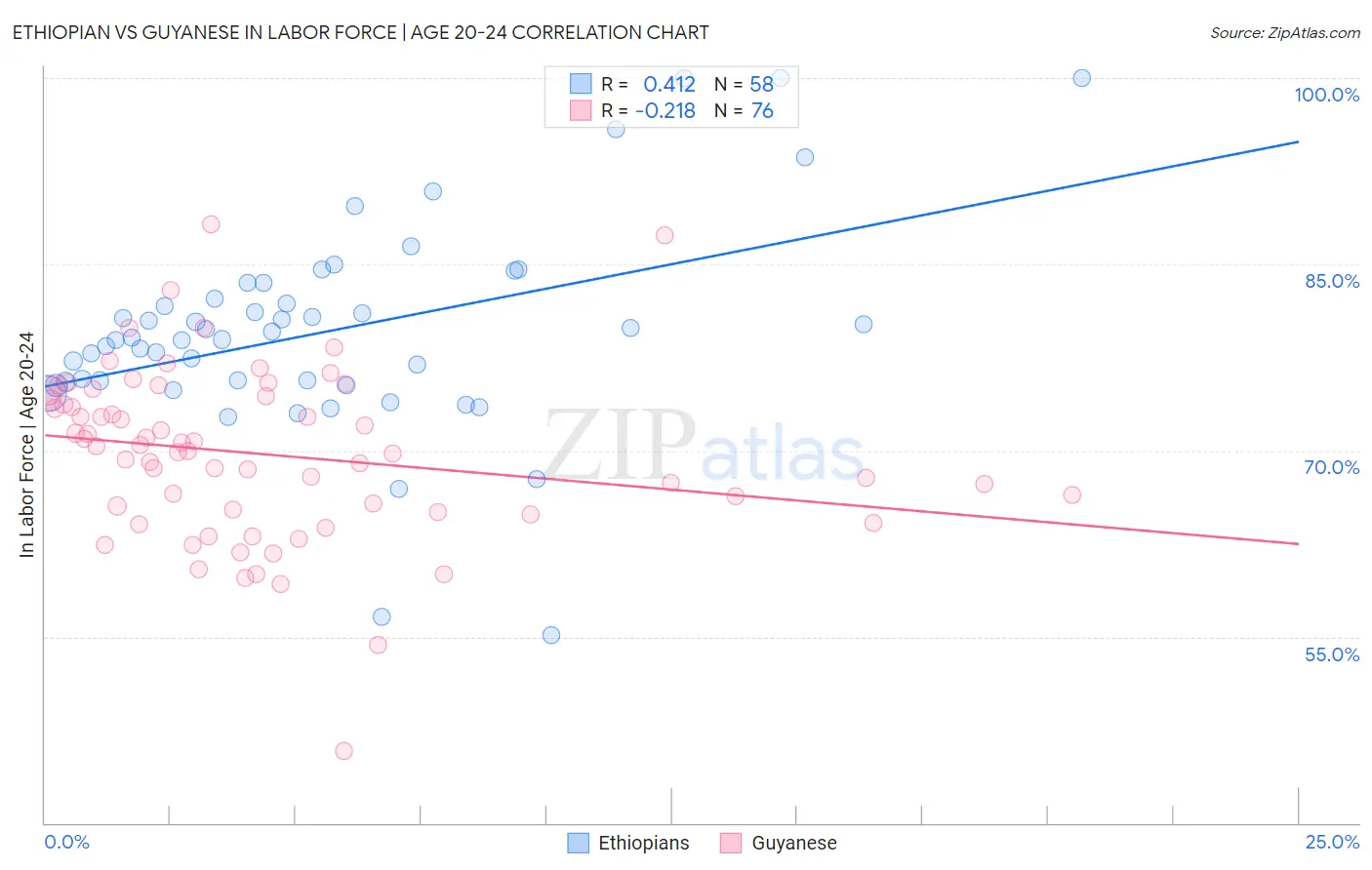 Ethiopian vs Guyanese In Labor Force | Age 20-24