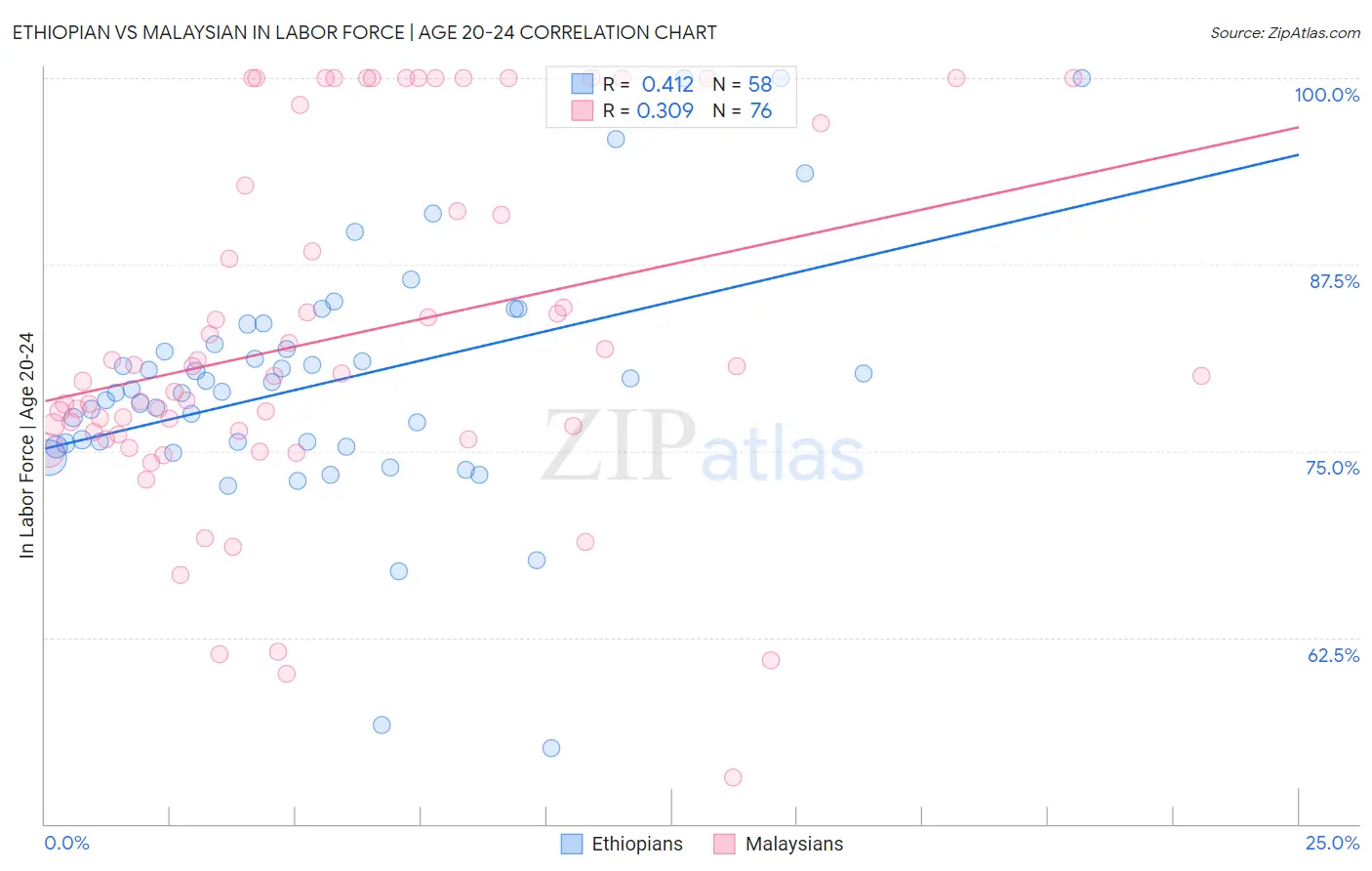 Ethiopian vs Malaysian In Labor Force | Age 20-24
