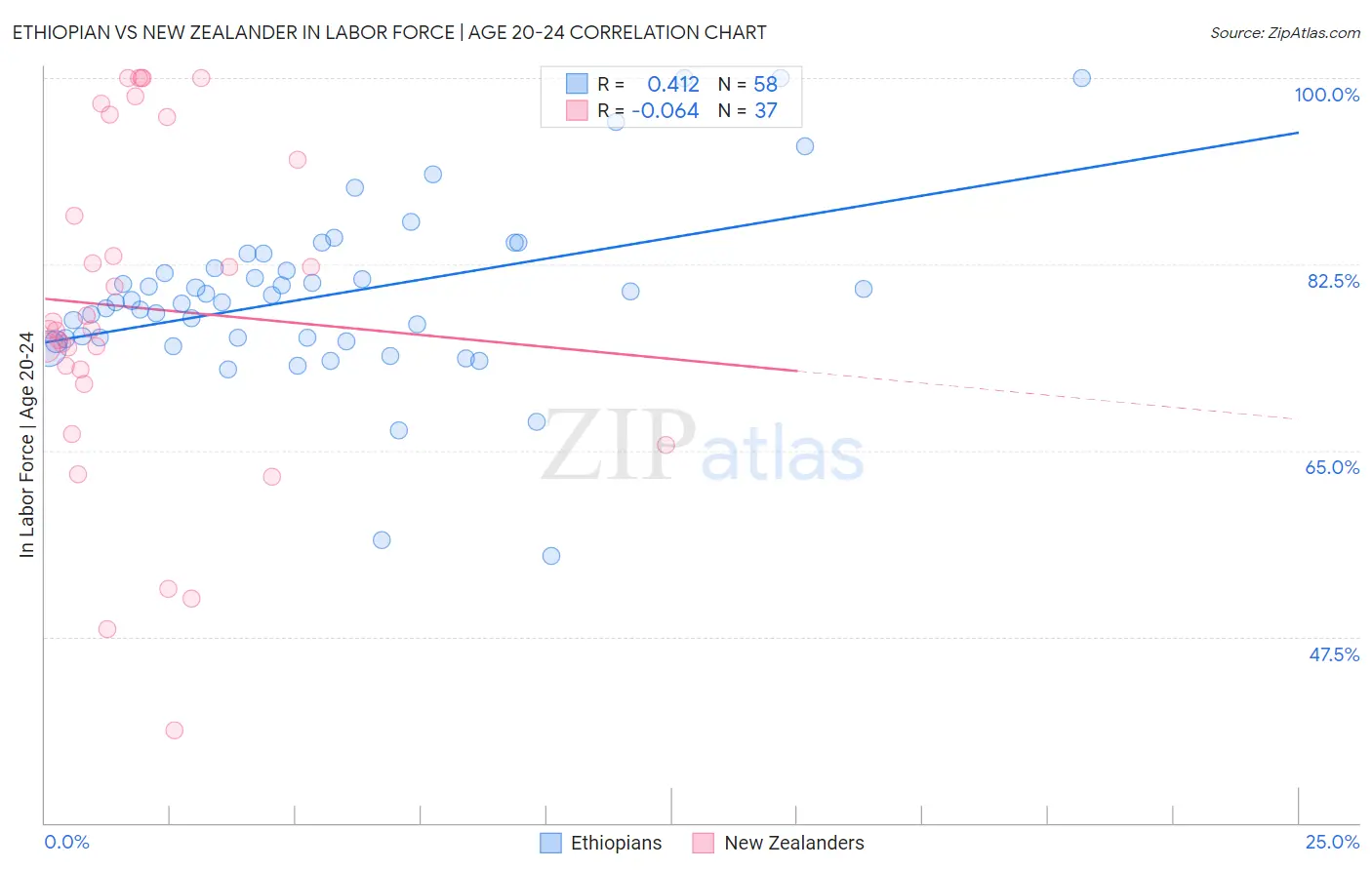 Ethiopian vs New Zealander In Labor Force | Age 20-24