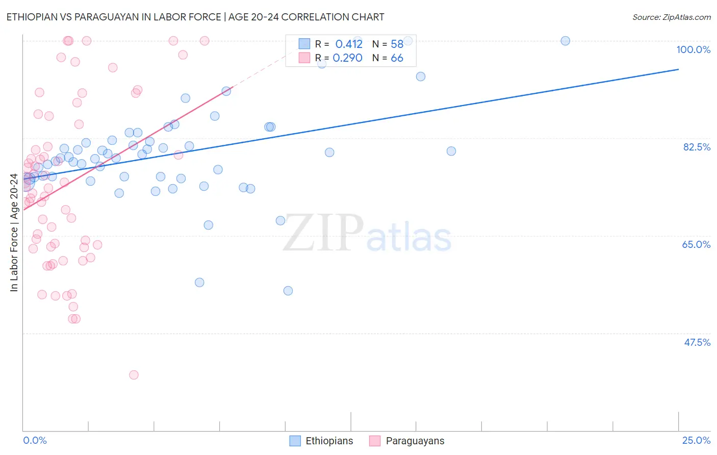 Ethiopian vs Paraguayan In Labor Force | Age 20-24