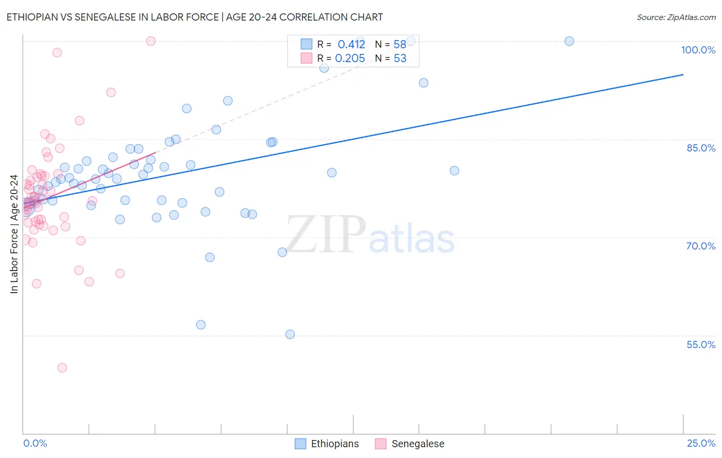 Ethiopian vs Senegalese In Labor Force | Age 20-24