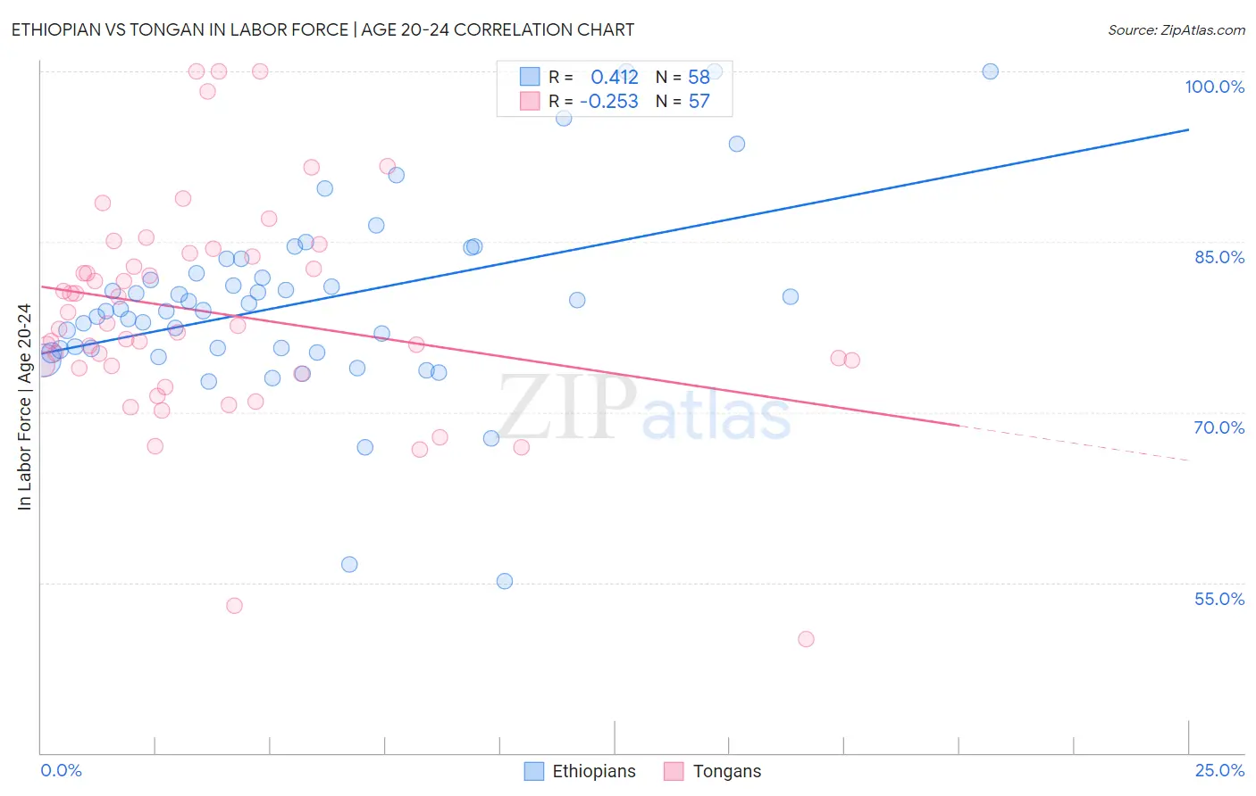 Ethiopian vs Tongan In Labor Force | Age 20-24