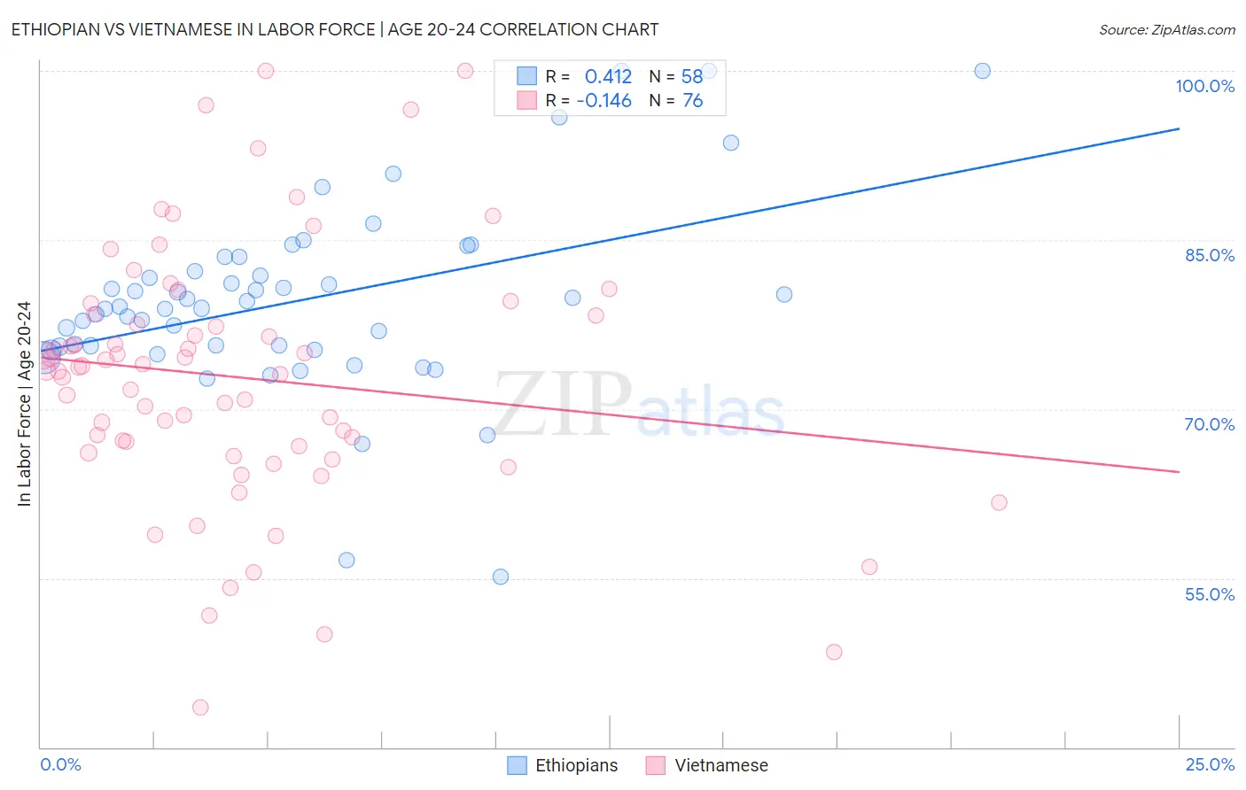 Ethiopian vs Vietnamese In Labor Force | Age 20-24