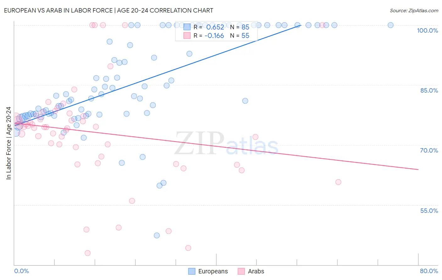 European vs Arab In Labor Force | Age 20-24