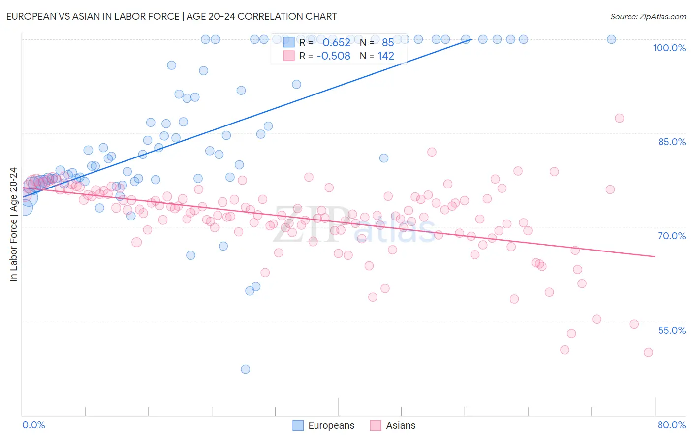 European vs Asian In Labor Force | Age 20-24