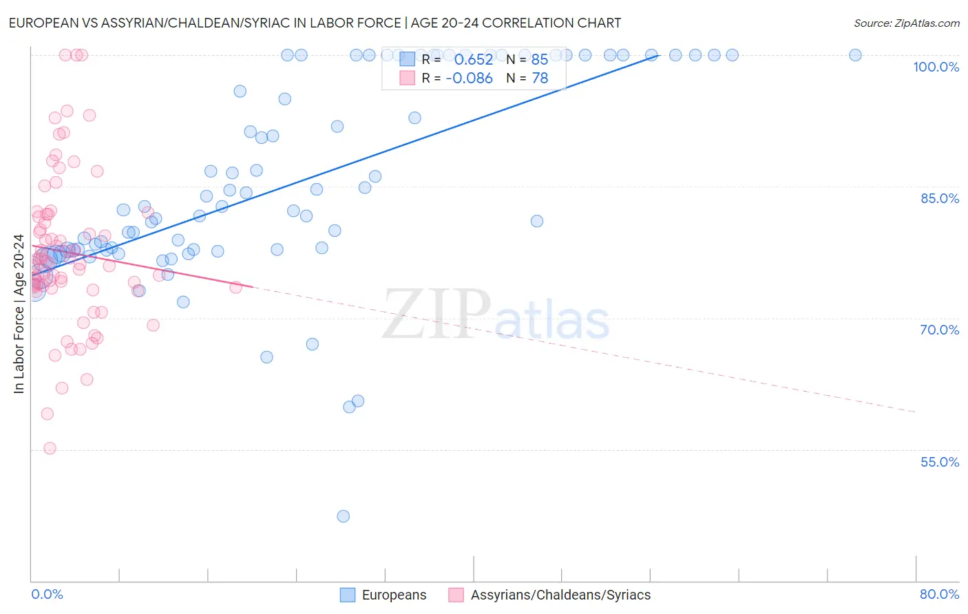 European vs Assyrian/Chaldean/Syriac In Labor Force | Age 20-24