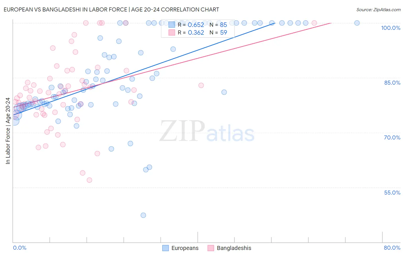 European vs Bangladeshi In Labor Force | Age 20-24