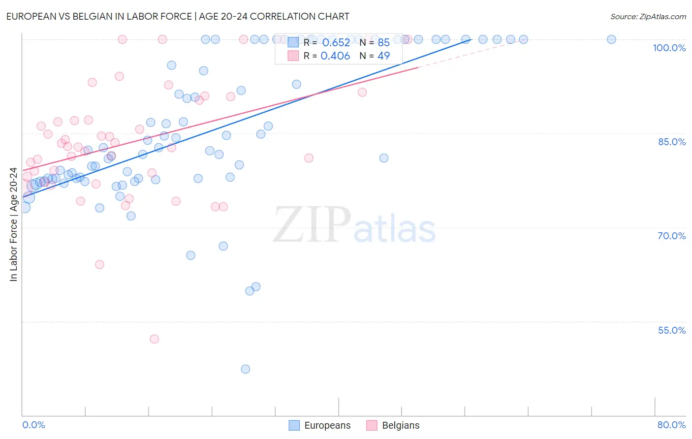 European vs Belgian In Labor Force | Age 20-24