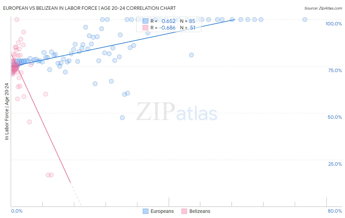 European vs Belizean In Labor Force | Age 20-24