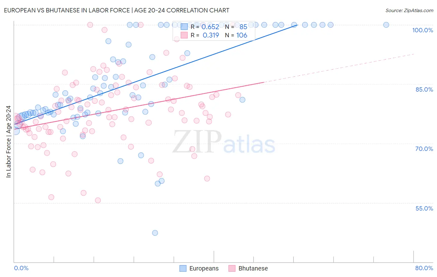 European vs Bhutanese In Labor Force | Age 20-24