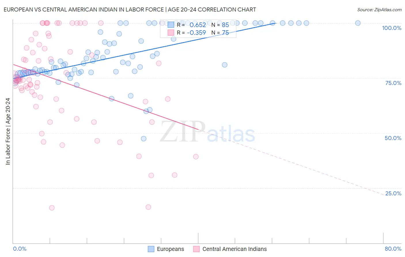 European vs Central American Indian In Labor Force | Age 20-24