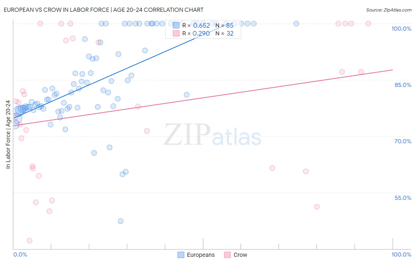European vs Crow In Labor Force | Age 20-24