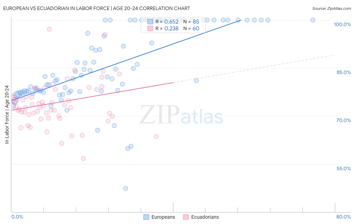 European vs Ecuadorian In Labor Force | Age 20-24