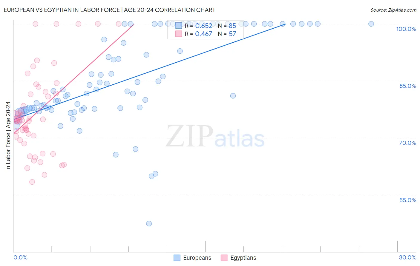 European vs Egyptian In Labor Force | Age 20-24