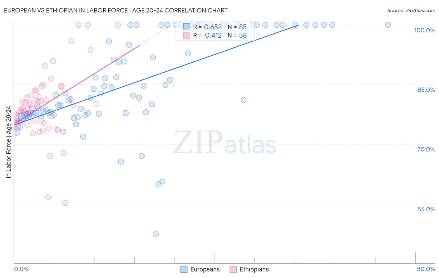 European vs Ethiopian In Labor Force | Age 20-24