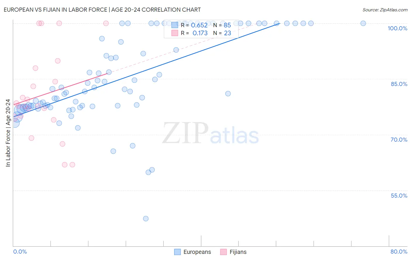 European vs Fijian In Labor Force | Age 20-24
