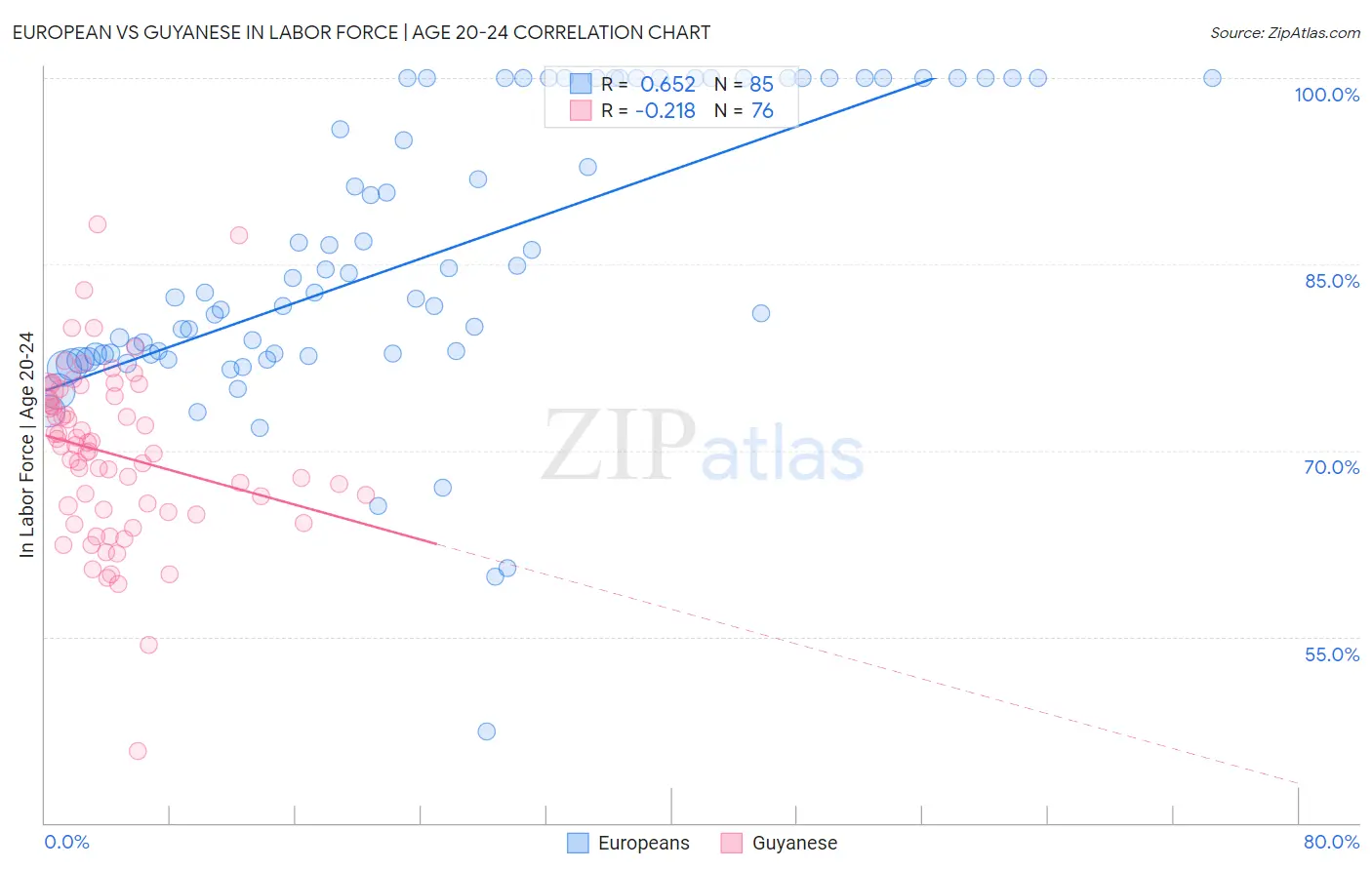 European vs Guyanese In Labor Force | Age 20-24