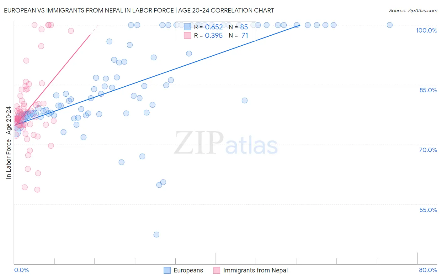 European vs Immigrants from Nepal In Labor Force | Age 20-24