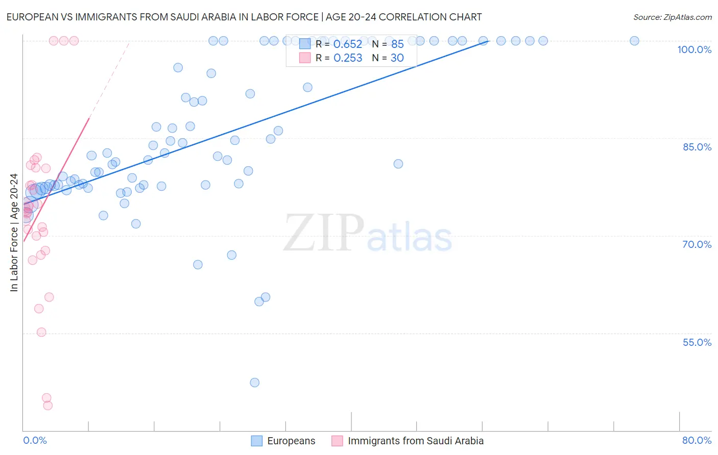 European vs Immigrants from Saudi Arabia In Labor Force | Age 20-24
