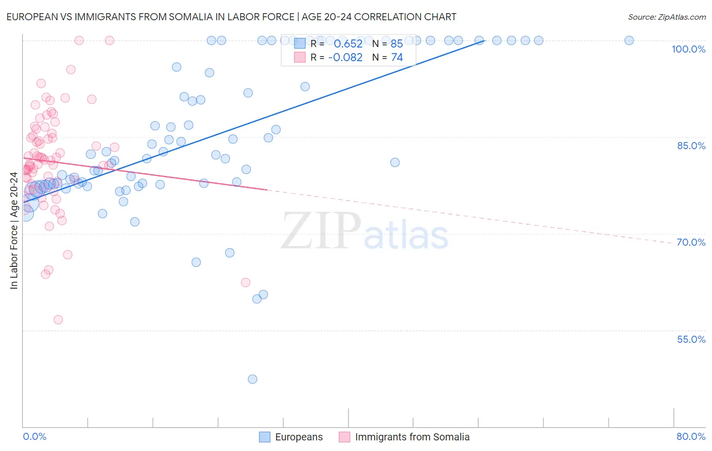 European vs Immigrants from Somalia In Labor Force | Age 20-24