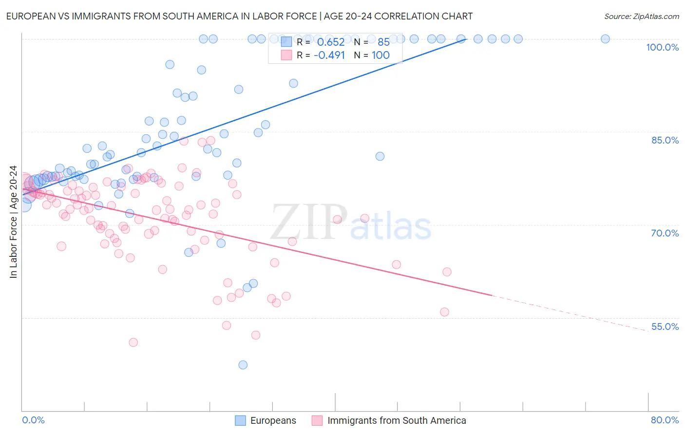 European vs Immigrants from South America In Labor Force | Age 20-24