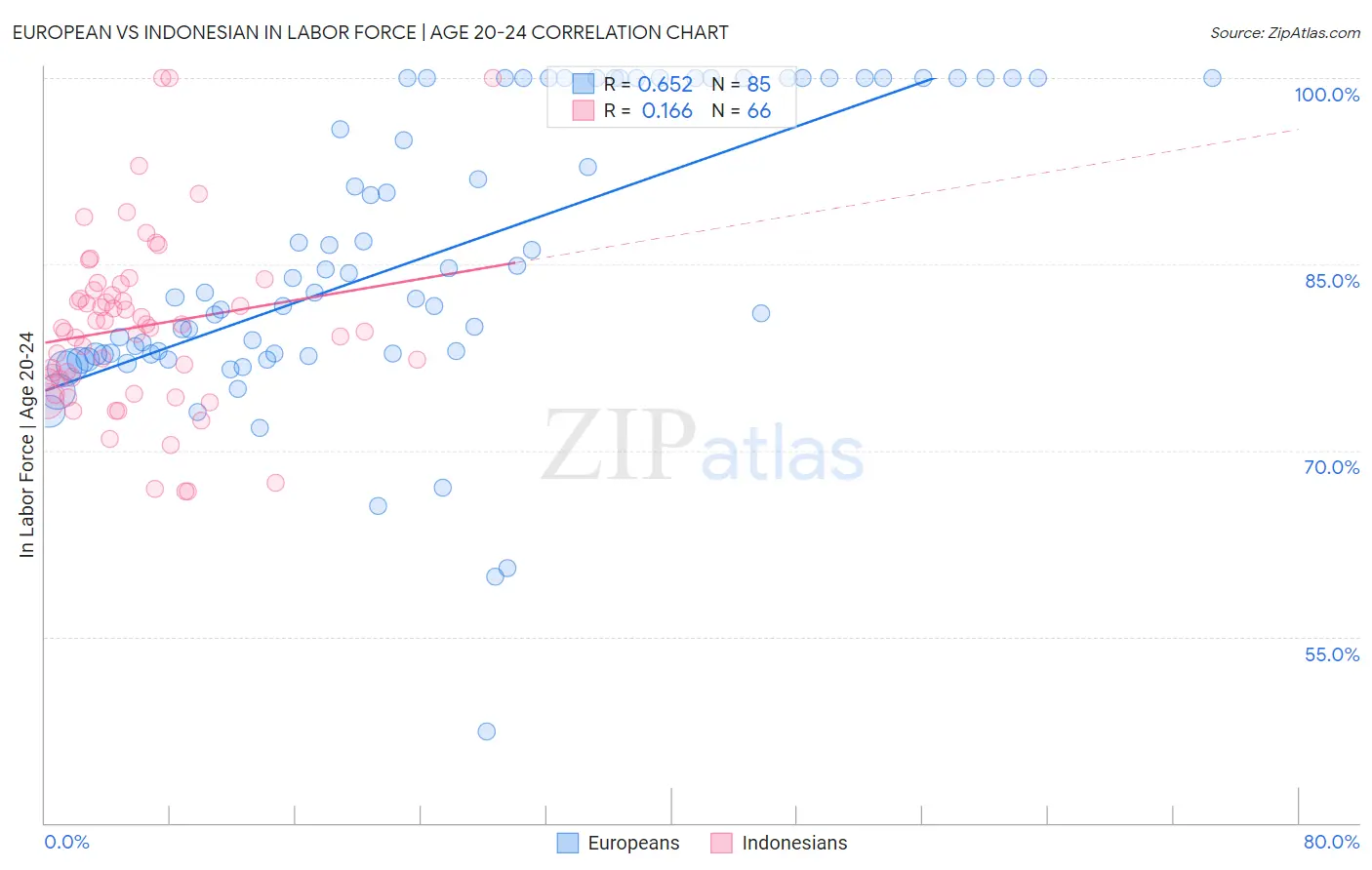 European vs Indonesian In Labor Force | Age 20-24