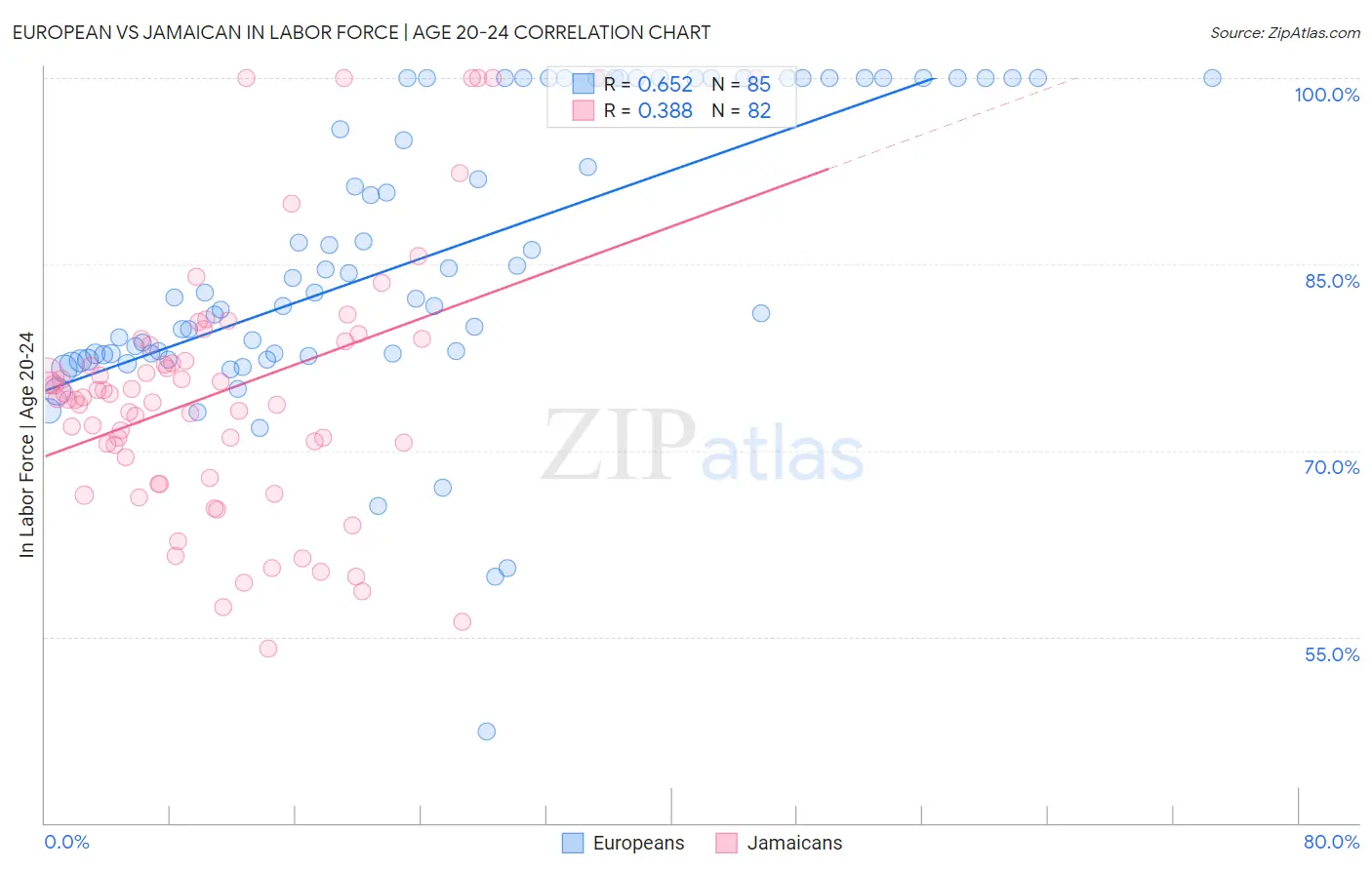 European vs Jamaican In Labor Force | Age 20-24