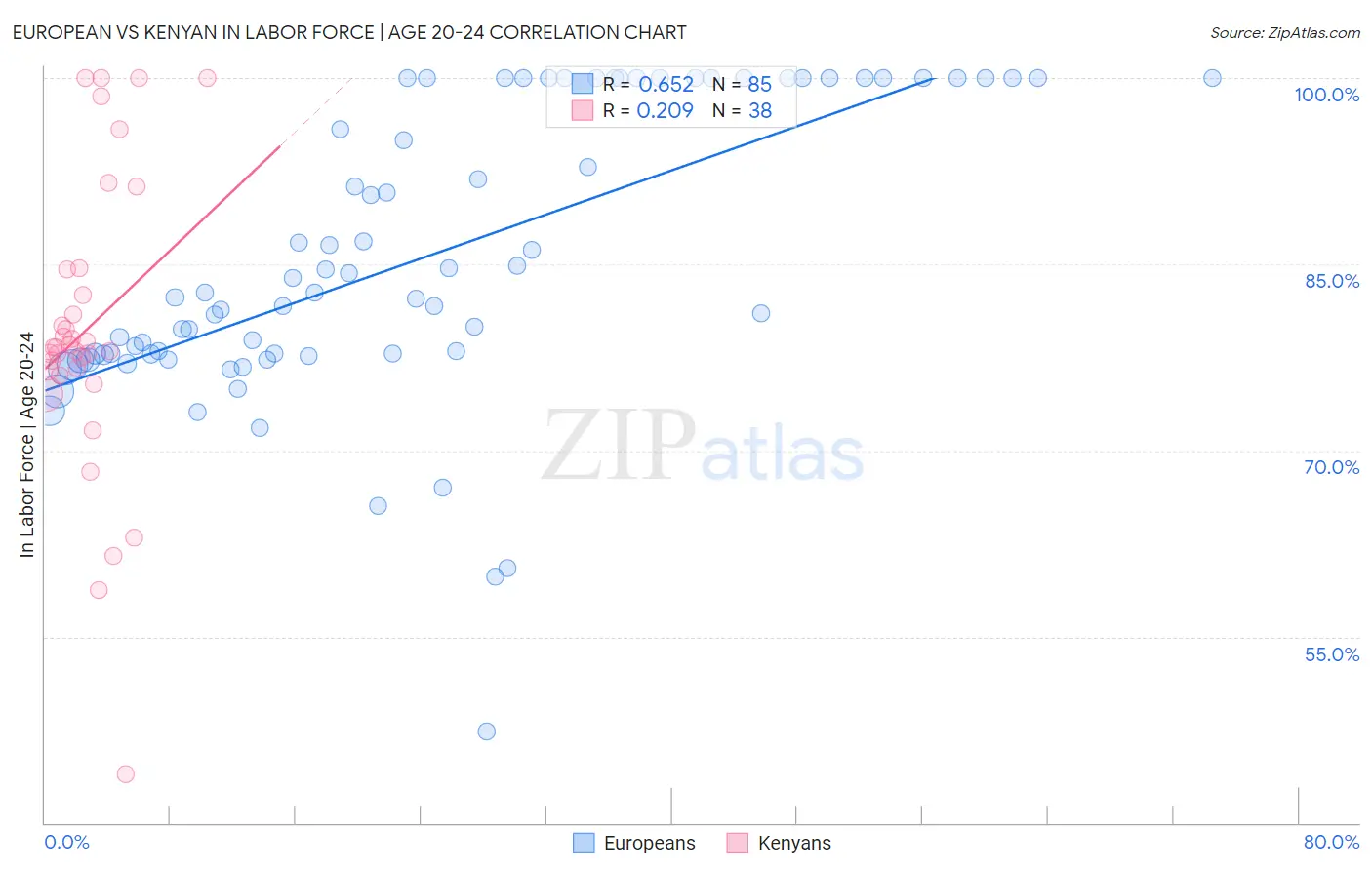 European vs Kenyan In Labor Force | Age 20-24