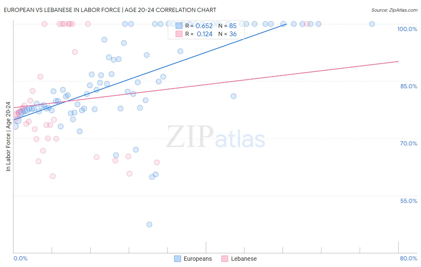 European vs Lebanese In Labor Force | Age 20-24