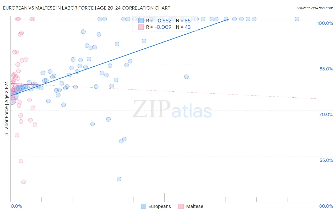 European vs Maltese In Labor Force | Age 20-24