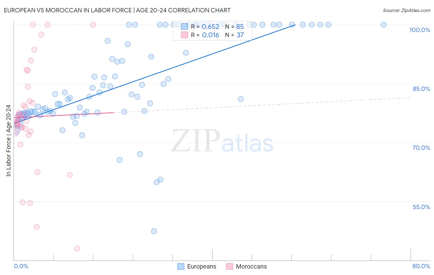 European vs Moroccan In Labor Force | Age 20-24