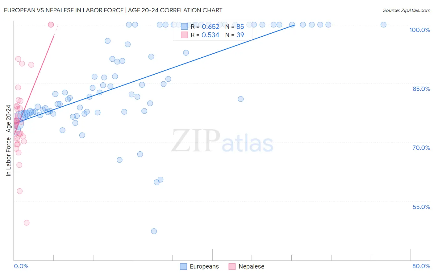 European vs Nepalese In Labor Force | Age 20-24