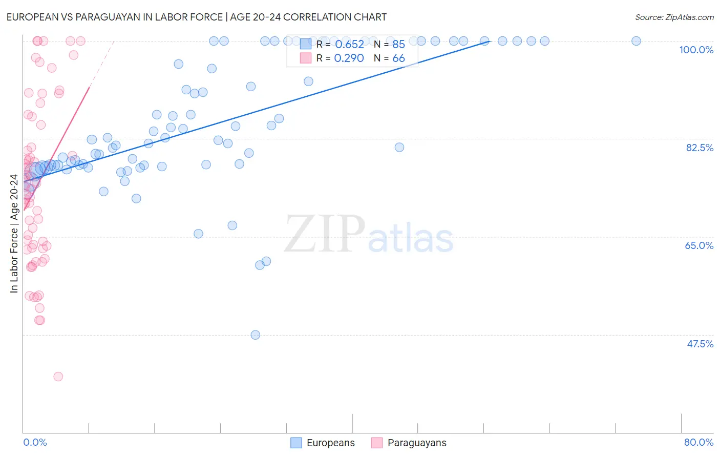 European vs Paraguayan In Labor Force | Age 20-24