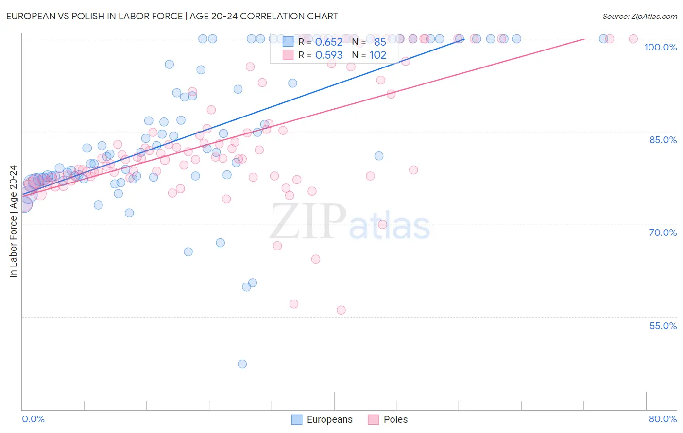 European vs Polish In Labor Force | Age 20-24