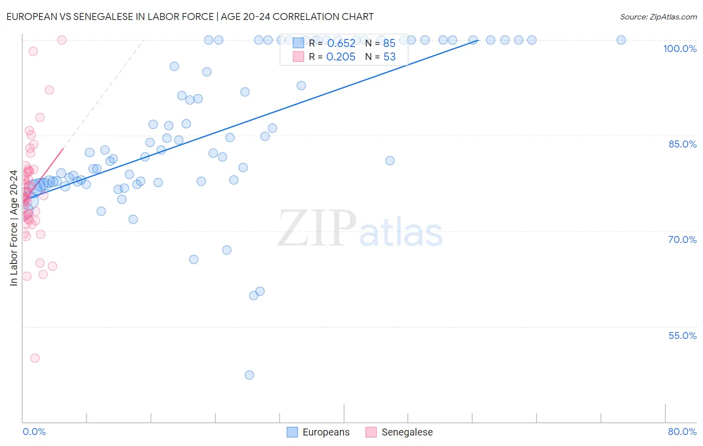 European vs Senegalese In Labor Force | Age 20-24