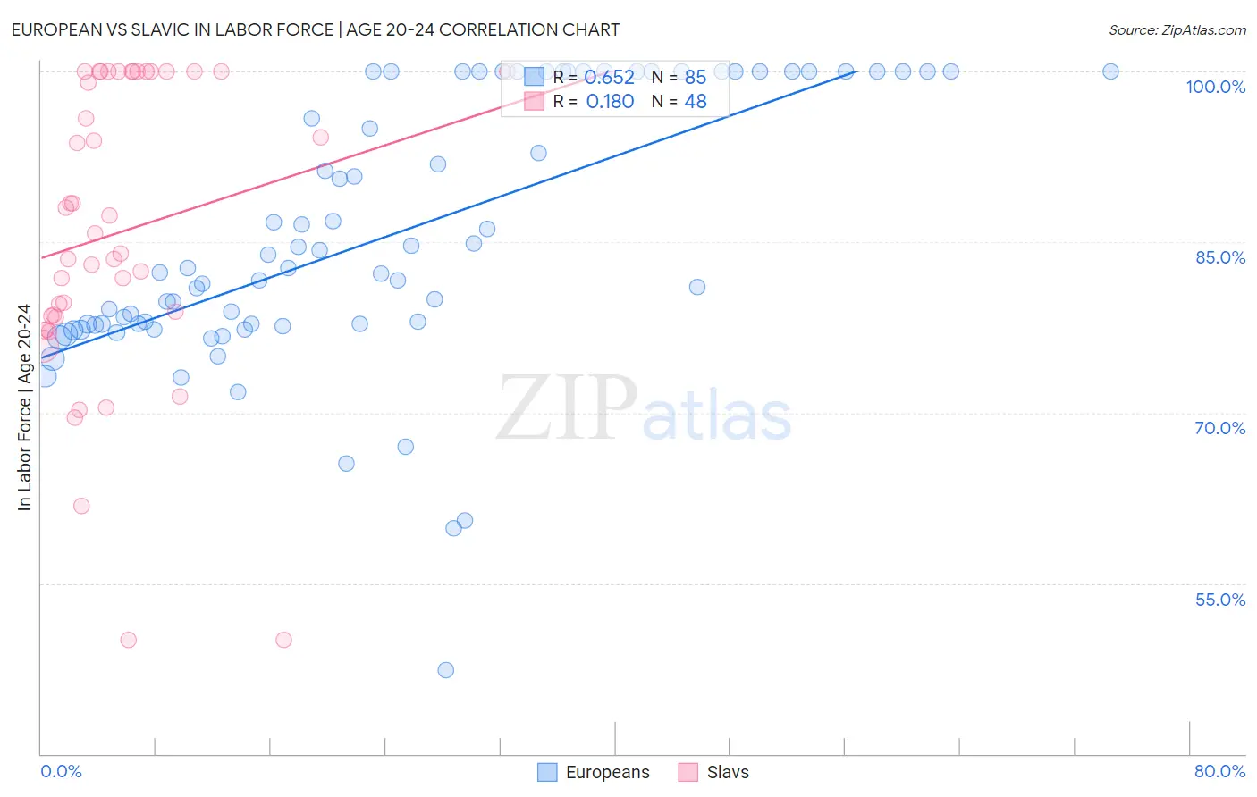 European vs Slavic In Labor Force | Age 20-24