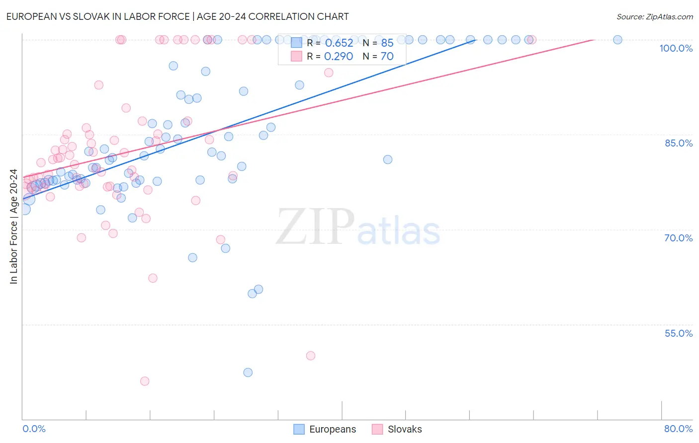 European vs Slovak In Labor Force | Age 20-24
