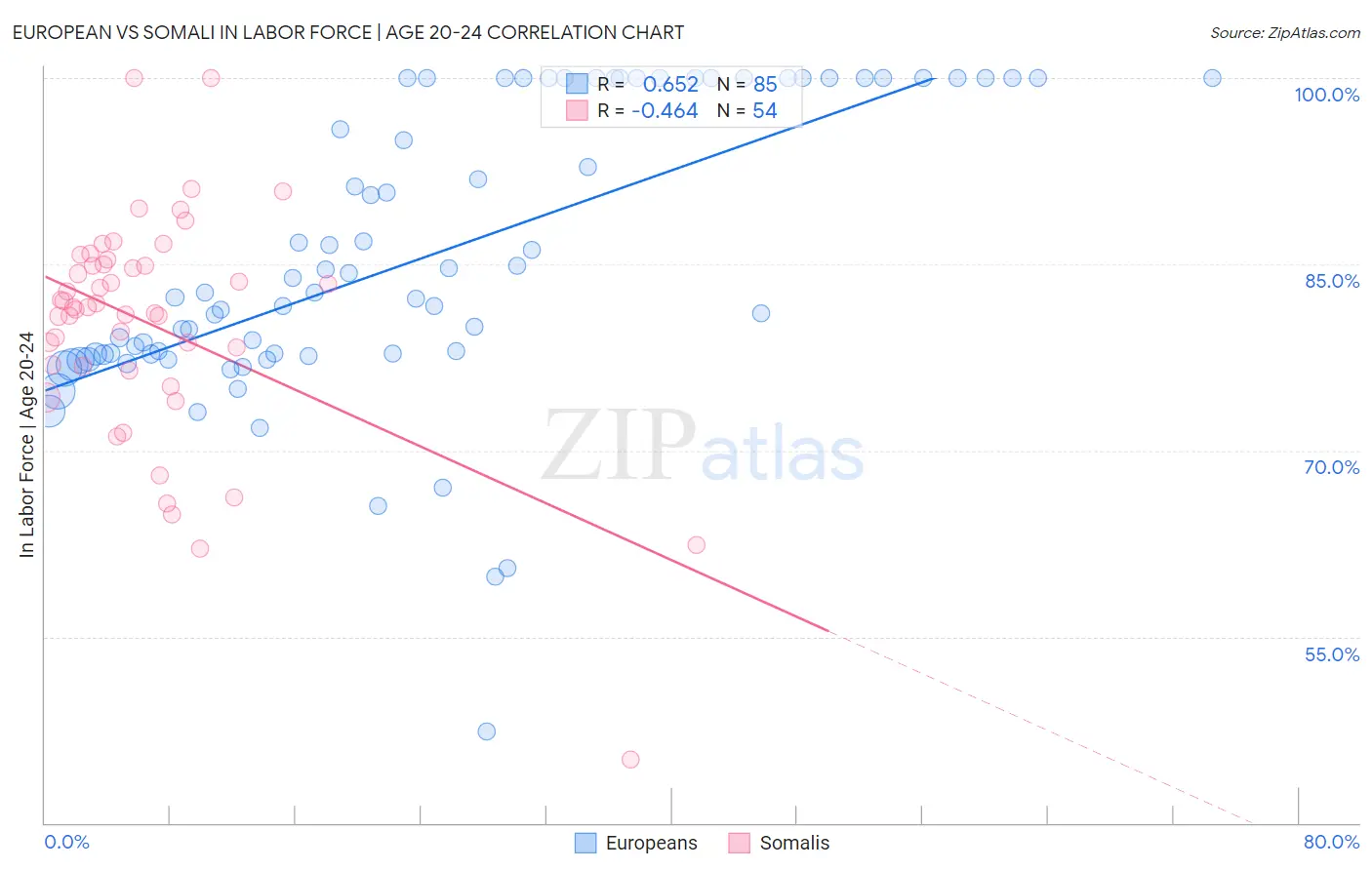 European vs Somali In Labor Force | Age 20-24