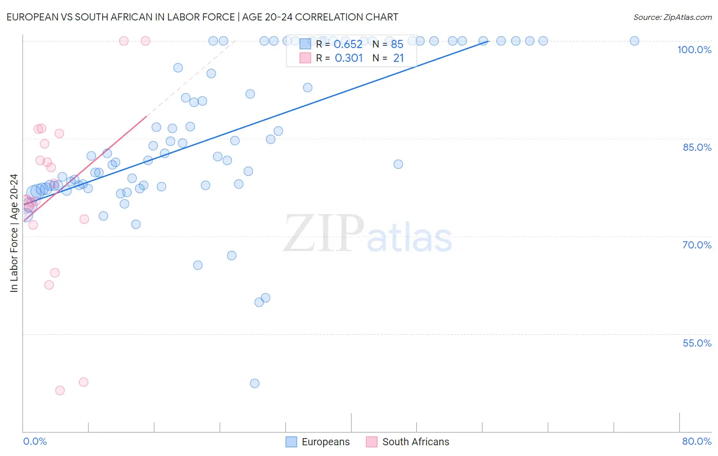 European vs South African In Labor Force | Age 20-24