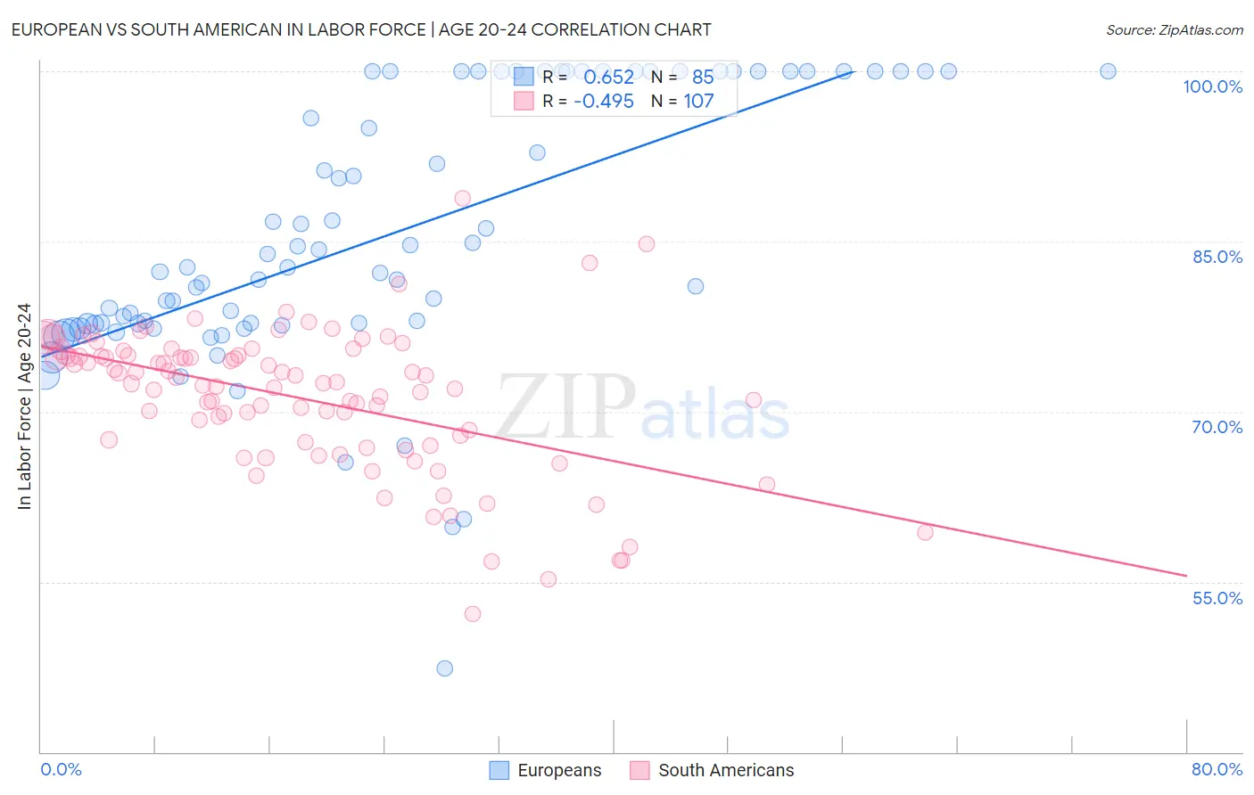 European vs South American In Labor Force | Age 20-24