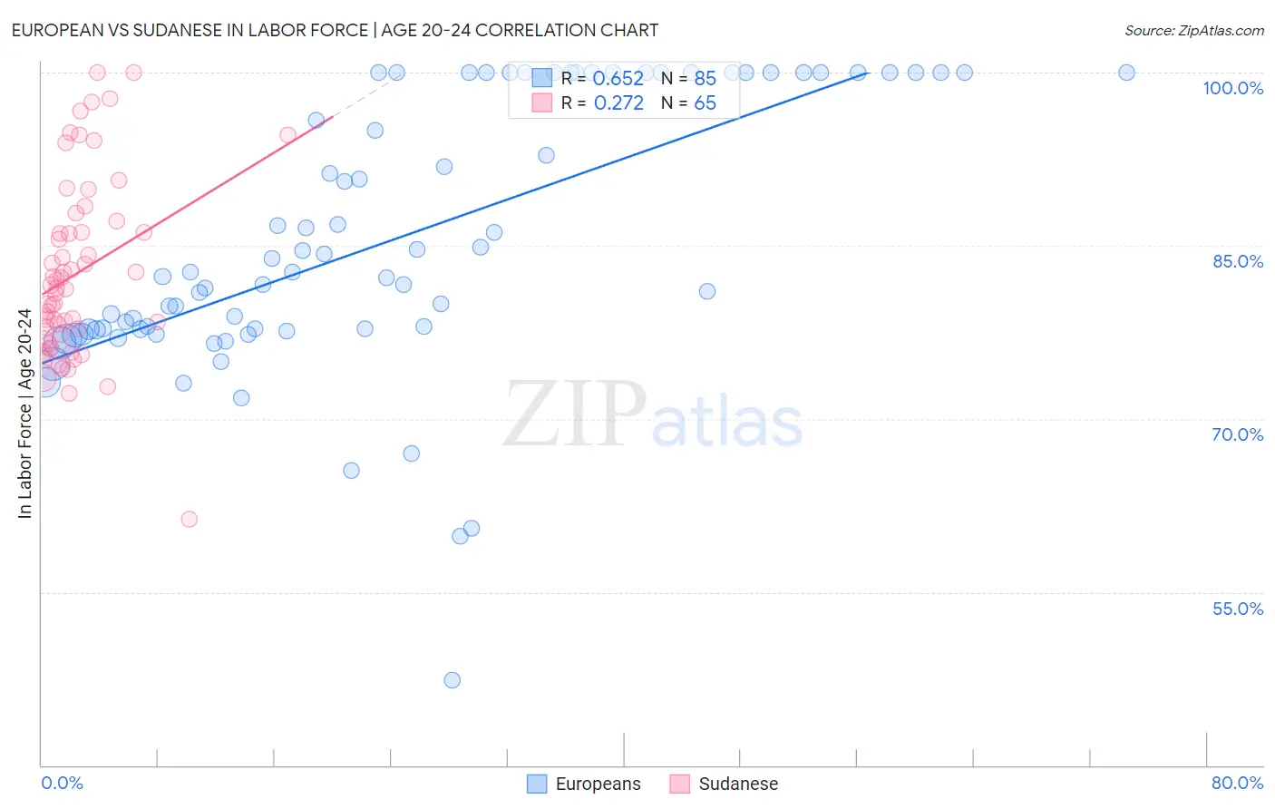 European vs Sudanese In Labor Force | Age 20-24