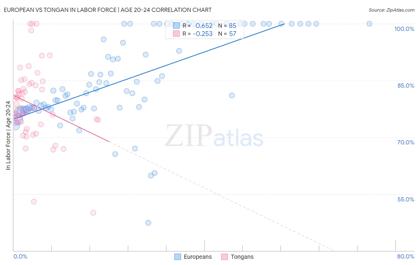 European vs Tongan In Labor Force | Age 20-24