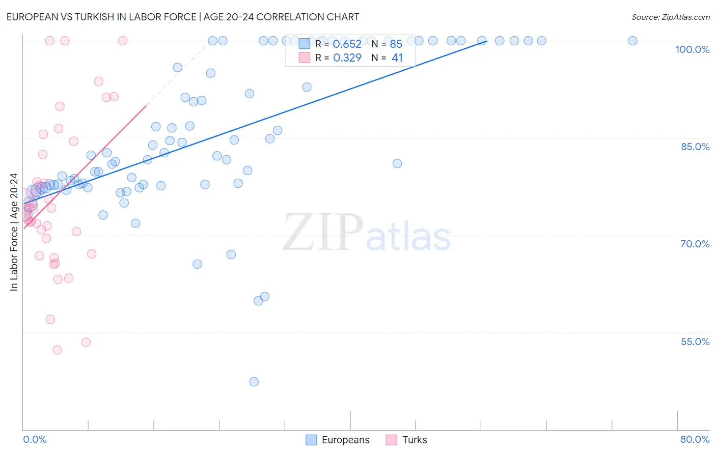 European vs Turkish In Labor Force | Age 20-24