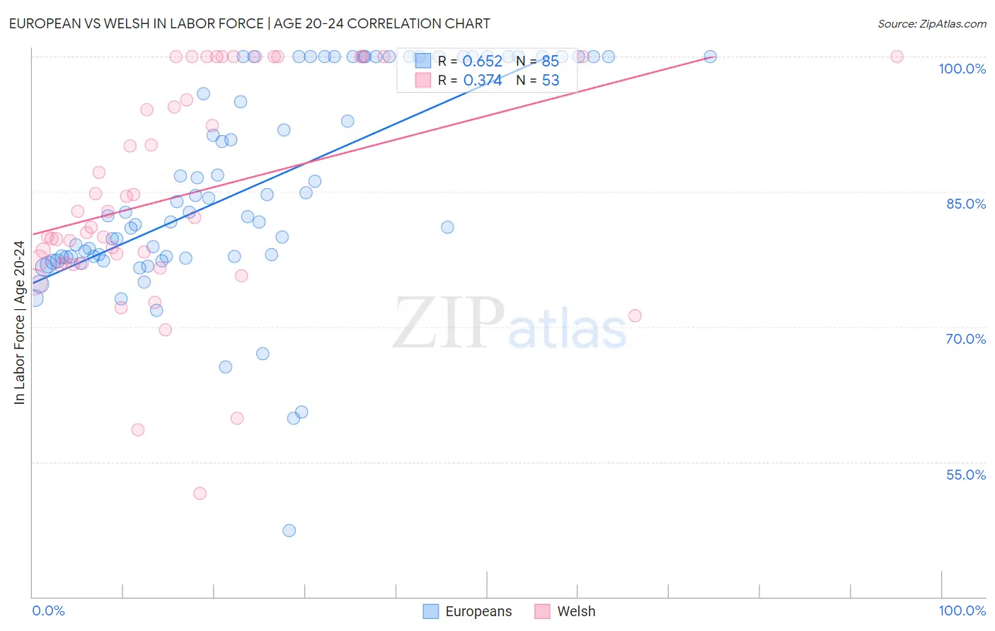 European vs Welsh In Labor Force | Age 20-24