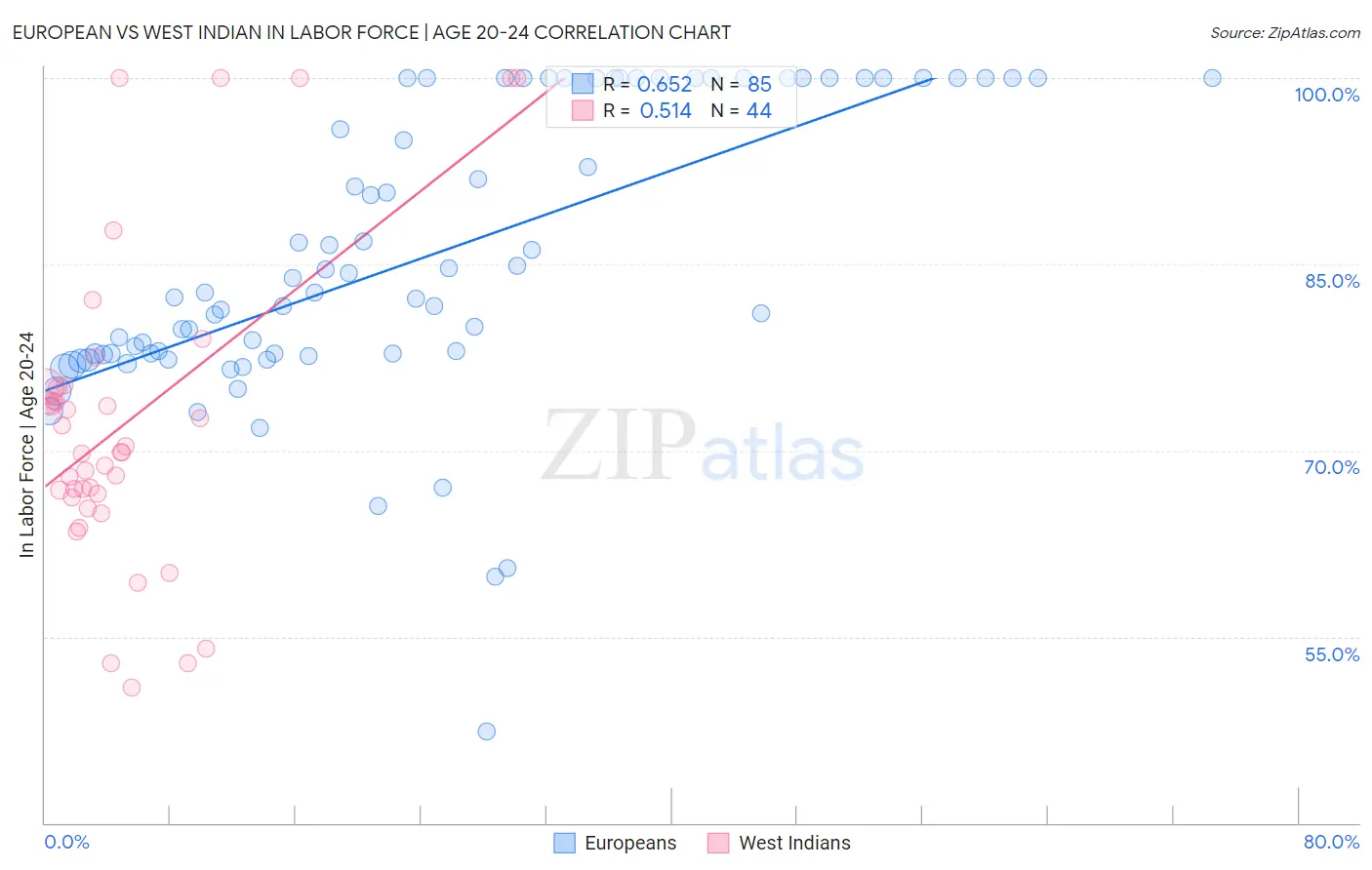 European vs West Indian In Labor Force | Age 20-24