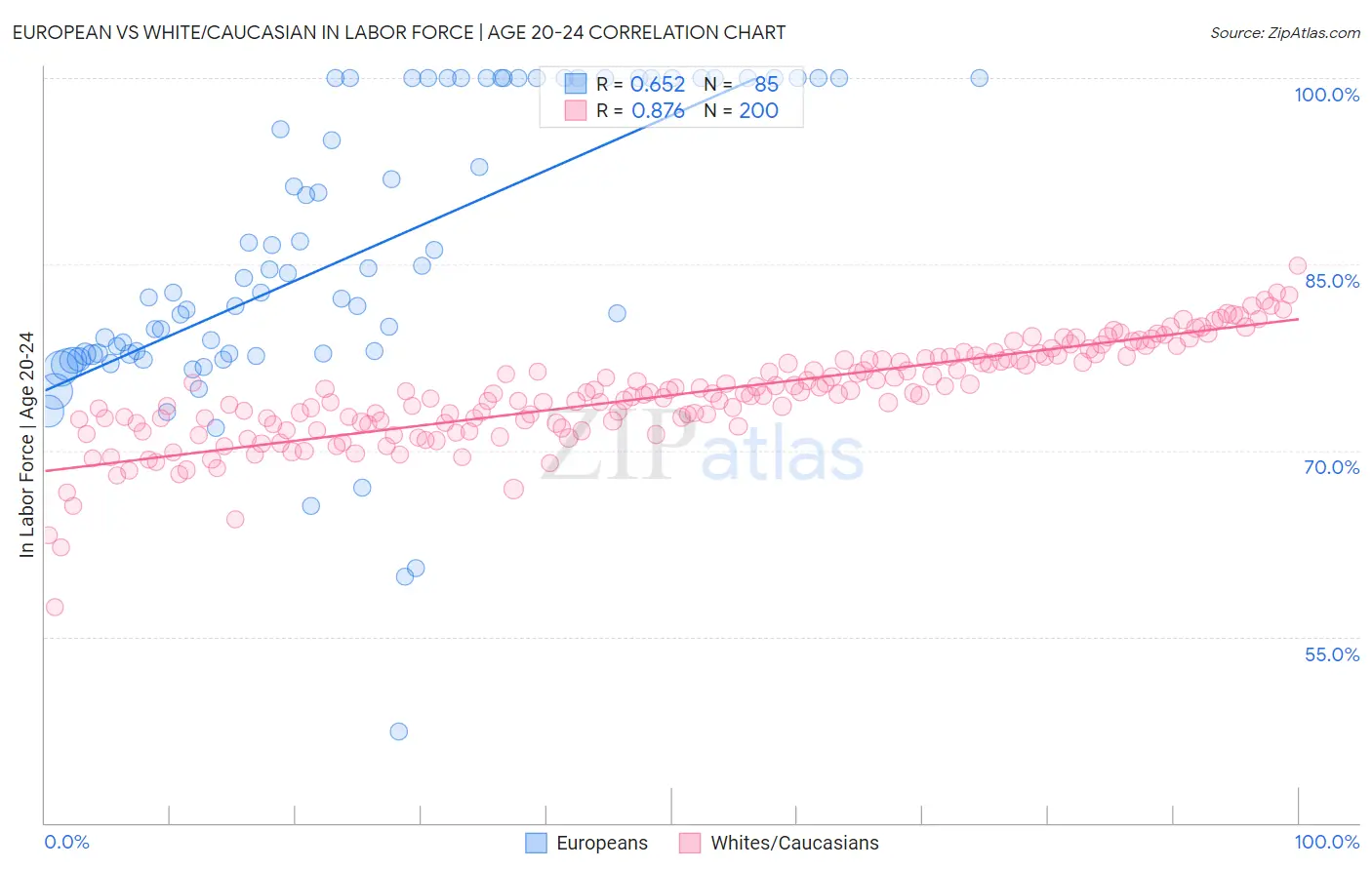 European vs White/Caucasian In Labor Force | Age 20-24