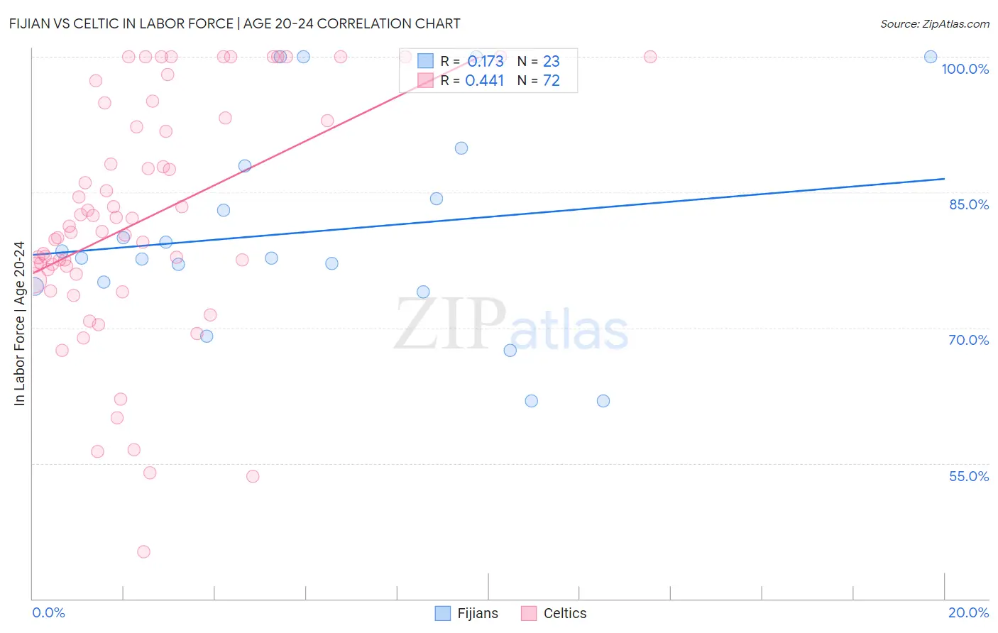 Fijian vs Celtic In Labor Force | Age 20-24