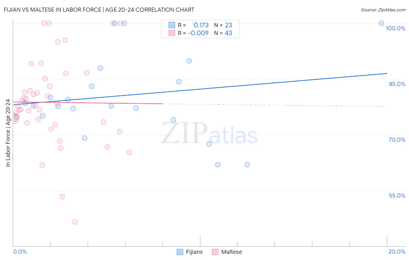 Fijian vs Maltese In Labor Force | Age 20-24
